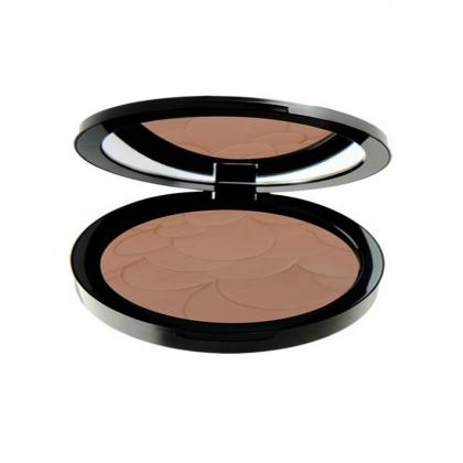 profashion-advanced-powder---25
